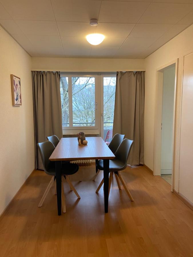 Comfort 1 And 2Bdr Apartment Close To Zurich Airport Extérieur photo
